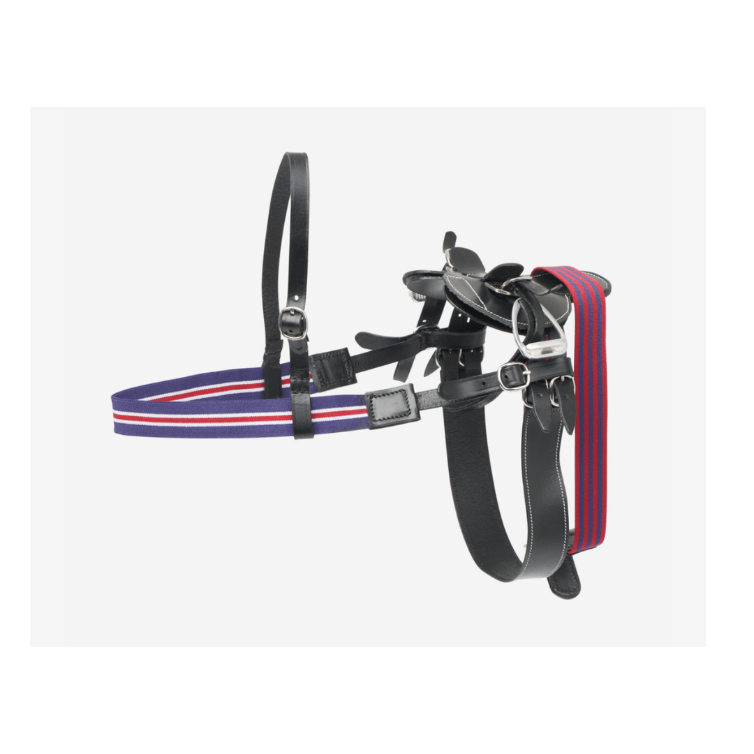 Mini selle de course Lemieux